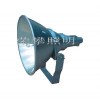 NTC9200 防震型投光燈