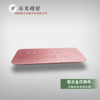廠家精密壓鑄鋁合金冰箱標(biāo)牌 機(jī)械五金加工制造 定制