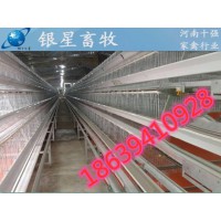 新型雞籠價格優(yōu)質(zhì)養(yǎng)殖籠河南銀星畜牧設(shè)備廠報價雞籠廠
