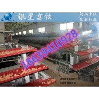 自動撿蛋機 層式集蛋機  蛋雞養(yǎng)殖設(shè)備銀星畜牧設(shè)備
