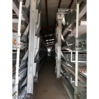 喂料機報價丨自動喂料機丨上料機丨家禽喂料機廠家直銷【銀星】