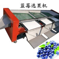 篩網式藍莓直徑分級機