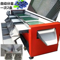 山東藍莓分選機篩網晃動分級大小