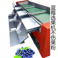 煙臺藍莓分級選果機質量好