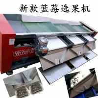 皮帶篩網式藍莓分級機