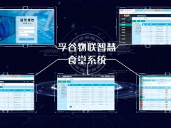 湖南孚谷物聯(lián)企業(yè)簡介