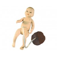 益聯(lián)醫(yī)學(xué)新生兒臍帶護(hù)理模型 兒科護(hù)理模擬人