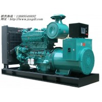 300千瓦柴油發(fā)電機(jī)組價(jià)格
