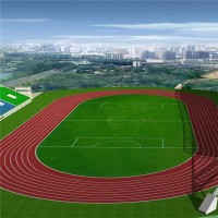學校足球場草坪 操場地面足球場草坪