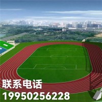 遂寧學校足球場假草坪  內江學校操場足球場假草坪